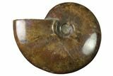 Red Iridescent Ammonite - Madagascar #155215-1